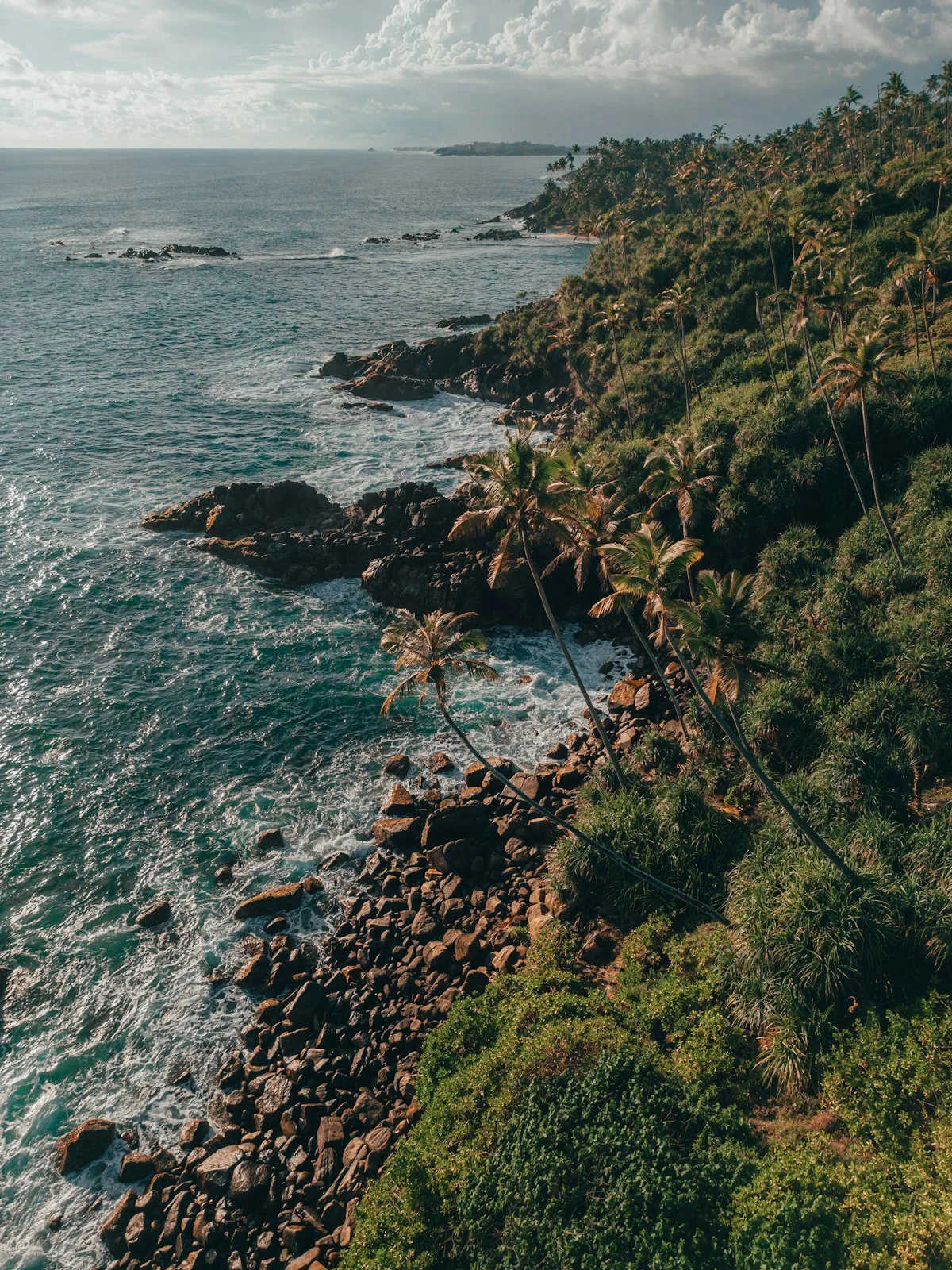 Palm trees and ocean waves at Mirissa on the Sri Lankan south coast